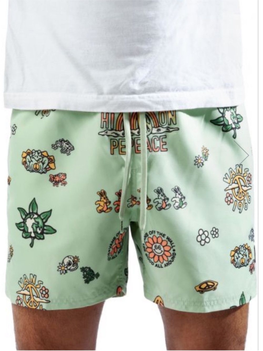 Vans Men’s Mint Green Graphic Volley Shorts Size Small